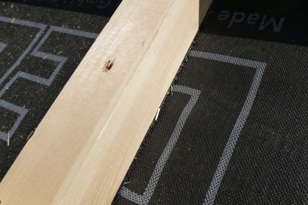 DELTA-DICHTBAND D 50 уплотнительная самоклеящаяся лента для контробрешётки, 10 м.