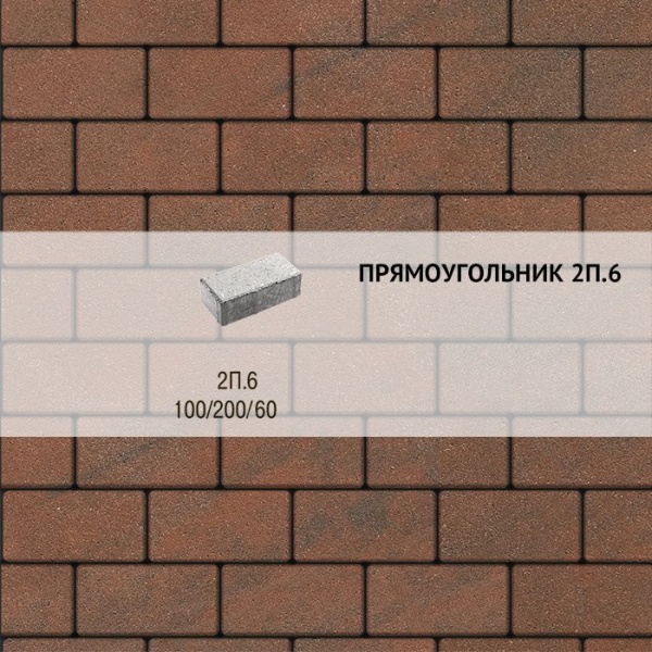 Плитка тротуарная Выбор, прямоугольник, листопад, 200x100x60 мм, 2П.6 Клинкер