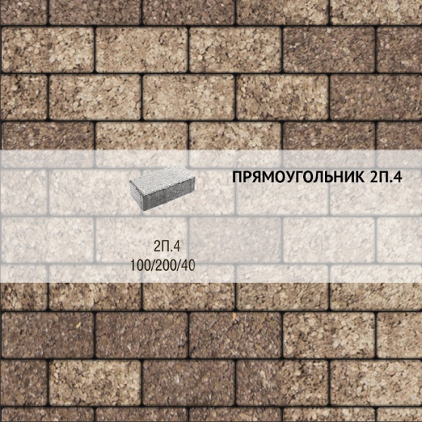 Плитка тротуарная Выбор, прямоугольник, листопад, 200x100x40 мм, 2П.4 Хаски