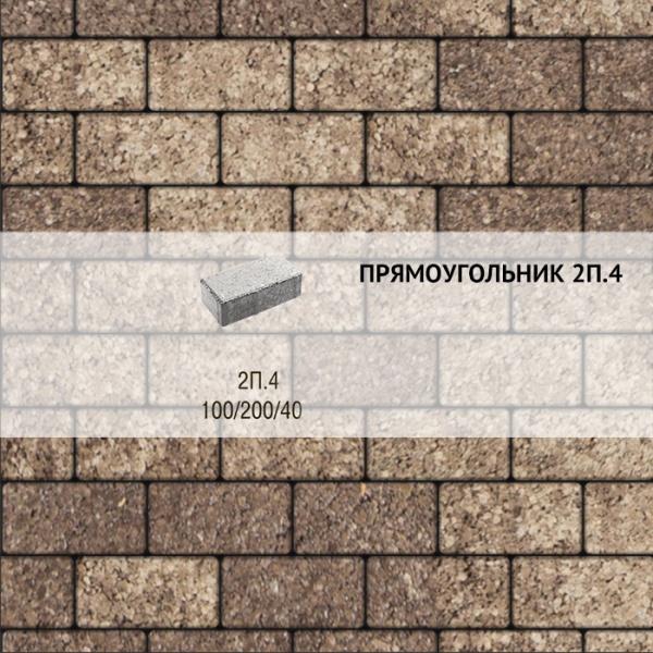 Плитка тротуарная Выбор, прямоугольник, листопад гранит, 200x100x40 мм, 2П.4 Хаски