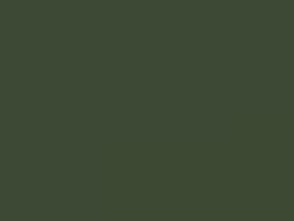 Отмот SSAB 1250 мм 0.5 мм, GreenCoat Pural BT, RR 11