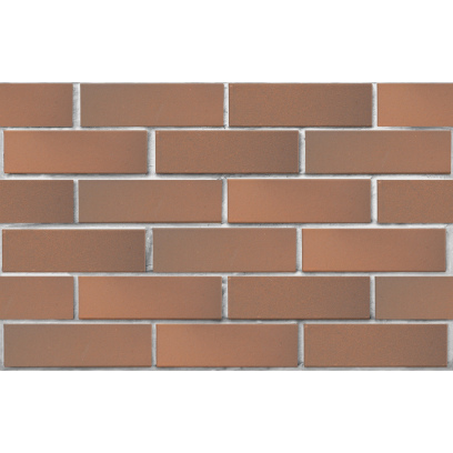 Кирпич облицовочный керамический ЛСР, 1НФ пустотелый, цвет: светло-коричневый Флеш, гладкий, М175, 250х120х65 мм