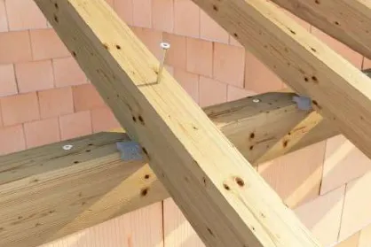 Holztechnic WINDOW BAND, расширяющаяся уплотнительная лента для оконных проемов, 54 мм х 15 м