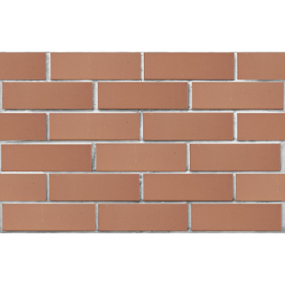 Кирпич облицовочный керамический ЛСР, 1НФ пустотелый, цвет: светло-коричневый, гладкий, М175, 250х120х65 мм