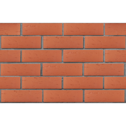 Кирпич облицовочный керамический ЛСР, 1НФ пустотелый, цвет: красный, рустик, М175, 250х120х65 мм