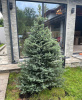 Сланец, 3D панель из камня, 350х180 мм, Modern Grey Slate
