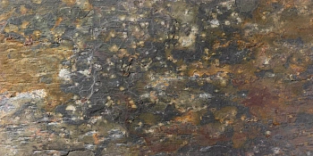 Сланец, натуральный скол, 600x300 мм, 12 мм,  Natural Kund Multi