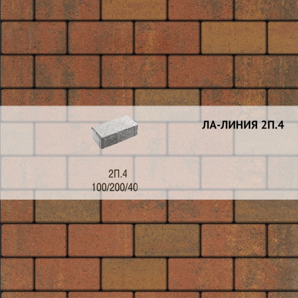 Плитка тротуарная Выбор, прямоугольник, листопад, 200x100x40 мм, 2П.4 Арабская ночь