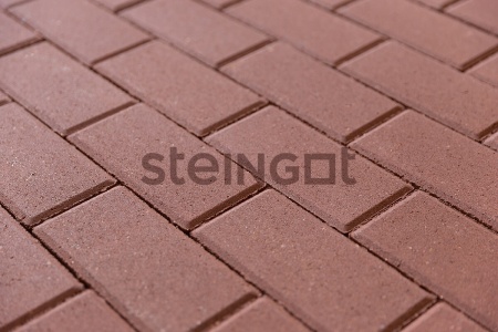 Тротуарная плитка Steingot Прямоугольник 60 мм 200х100 мм, цвет: темно-красный