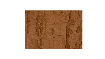 Фиброцементный сайдинг Бетэко Вудрок 8 мм, 190х3000 мм цвет: RAL 8007