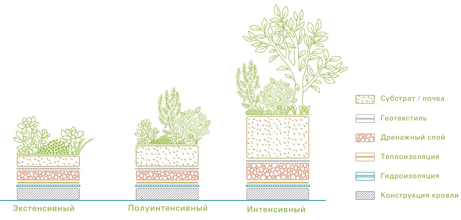 Что такое зеленая кровля