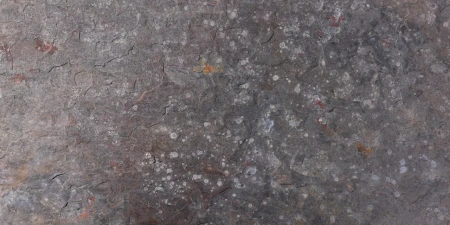 Сланец, натуральный скол, 600x300 мм, 12 мм,  Natural Kund Multi
