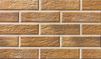 Термопанель рядовая Европа с плиткой Берёза, 1020х600 мм, 40 мм ППС, цвет: Curry