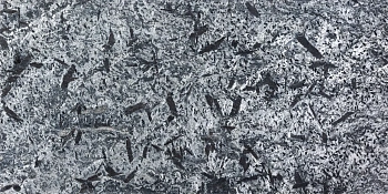 Кварцит, полированный, 600x300 мм, 12 мм,  Matrix Honed Silver Grey