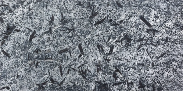 Кварцит, полированный, 600x300 мм, 12 мм,  Matrix Honed Silver Grey
