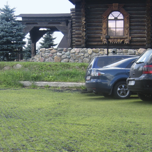 Решетка газонная Gidrolica Eco Normal, пластиковая черная, 530x430 мм, C250, 610