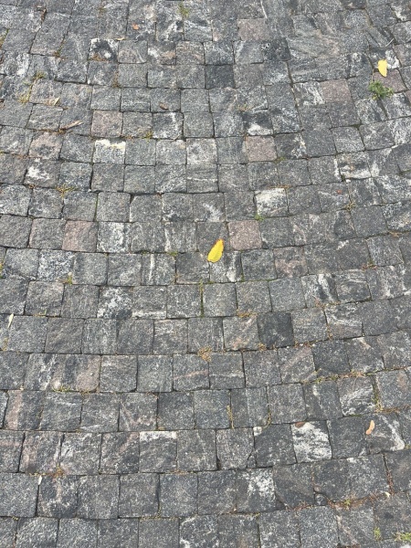 Гранитная брусчатка Гранатовый амфиболит 50 мм 100х100, колотая, цвет: коричневый