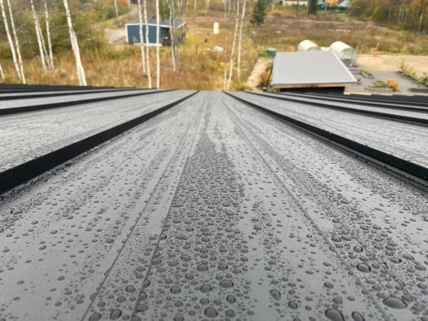 Фальцевая панель Aquaclick, Эталон, с подгибом 0.5 мм, Rooftop Бархат 180 г/м², RAL 9005