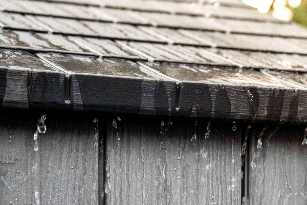 Сарай пластиковый Lifetime WoodLook 10'*8', 6.61 м²