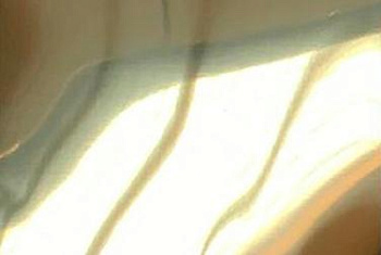 Лист aisi 304 ГОСТ-08Х18Н10 Глянец, 1000х2000 мм, 0.4 мм, нитрид-титан, золотой