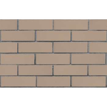 Кирпич облицовочный керамический ЛСР, 1НФ пустотелый, цвет: серый, гладкий, М175, 250х120х65 мм