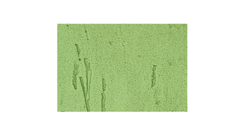 Фиброцементный сайдинг Бетэко Вудрок 8 мм, 190х3000 мм цвет: RAL 6021