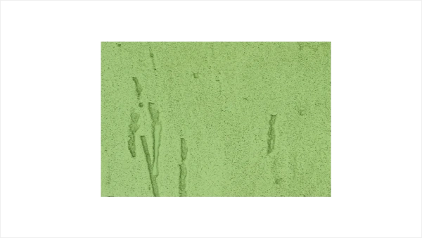 Фиброцементный сайдинг Бетэко Вудстоун 8 мм, 100х3000 мм цвет: RAL 6021