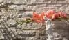 Кварцит, 3D панель из камня, 350х180 мм, Modern Beige Quartz