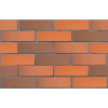 Кирпич облицовочный клинкерный ЛСР, 0.71НФ пустотелый, Ричмонд красный флэш, винтаж, М300, 250х85х65 мм